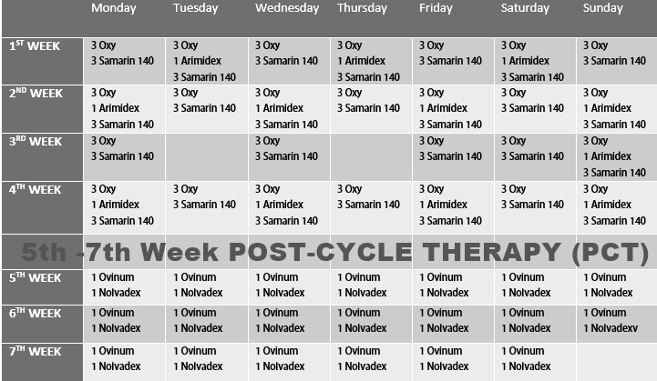 anadrol steroid cycle plan